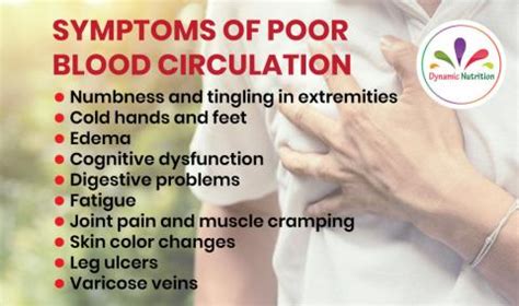 Symptoms of Poor Blood Circulation | Dynamic Nutrition