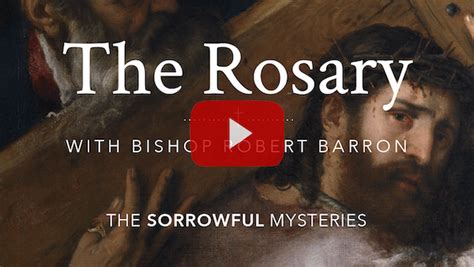 Pray The Luminous Mysteries | The Rosary with Bishop Barron