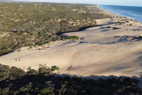 Australian Dunes Retreating From Ocean At Alarming Rate The Epoch Times