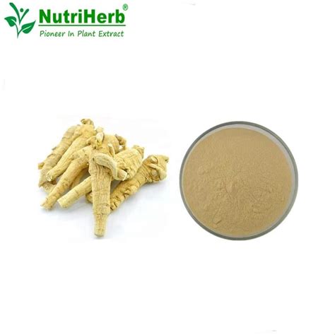 High Quality American Ginseng P E Ginsenosides Ginseng Root