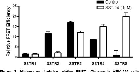 Figure 2 From G Protein Coupled Receptors Dimerization Diversity In