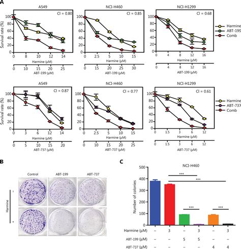 Dyrk1a Suppression Restrains Mcl 1 Expression And Sensitizes Nsclc