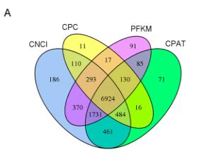 Lncrnas