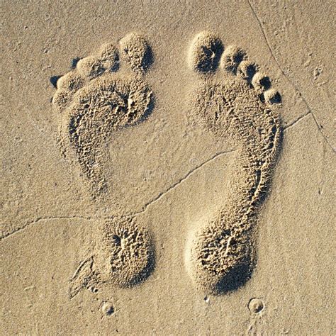 Empreintes De Pas De Famille Dans Le Sable Sur La Plage Photo Stock