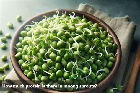 Protein In Moong Sprouts A Complete Guide Diabesmart