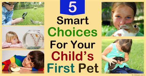 5 Best Starter Pets For Kids