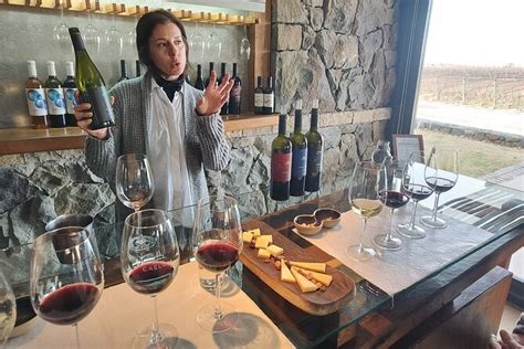 Luj N Wine Tasting Guided Experience With Lunch