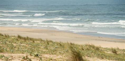 Pretty Ocean Landscape of Nouvelle-Aquitaine Beaches in France Stock ...