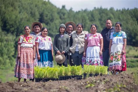 Esta Empresa Mexicana Convierte A Familias Agricultoras En Guardianes