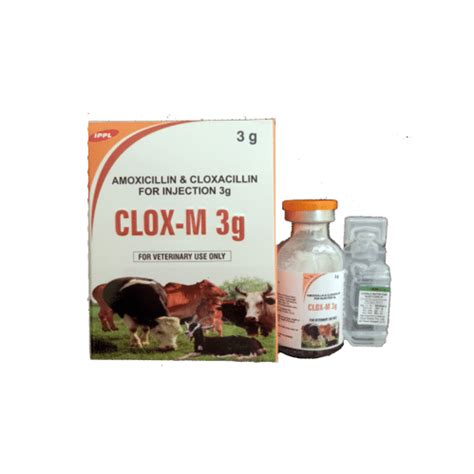 Liquid Amoxicillin With Cloxacillin For Injection At Best Price In