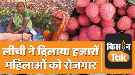 Muzaffarpur क Shahi Litchi स महलओ क मल रजगर कटई स लकर