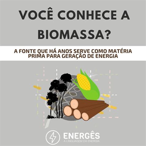 O que é a biomassa Quais seus usos energéticos