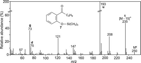 Ei Mass Spectrum Of The Tms Derivative Of Hydroxyvalerophenone