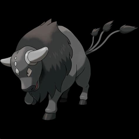 Paldean Combat Breed Tauros Rotomlabs Pokédex