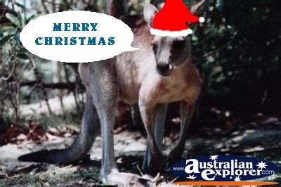 KANGAROO AT CHRISTMAS VIRTUAL POSTCARD, KANGAROO AT CHRISTMAS ECARD ...