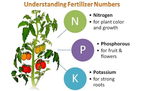 Fertilizers Thuss Greenhouses