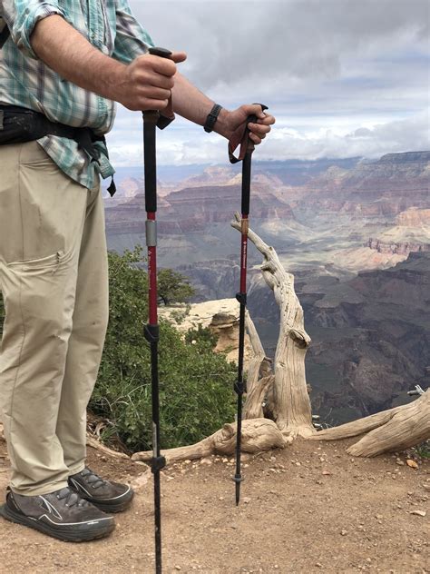 The Best Trekking Poles Of 2020 — Treeline Review