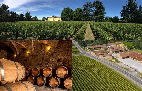 Festival Franciacorta In Cantina 2024 ANNUNCIATE DATE