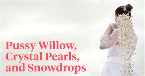 Pussy Willow As Bridal Bouquet