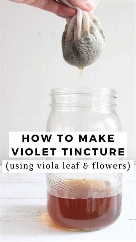 How To Make Violet Tincture Using Viola Leaf And Flowers Documenting