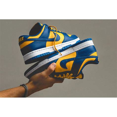 Tenis Nk Air Jordan Dunk Low Cano Baixo Unissex Shopee Brasil