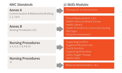 Nmc Standards Nursing Education Lt