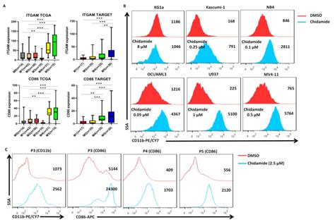 Epigenetic Therapy With Chidamide Alone Or Combined With Azacitidine