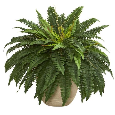 Reviews For Nearly Natural Indoor 22 In Boston Fern Artificial Plant