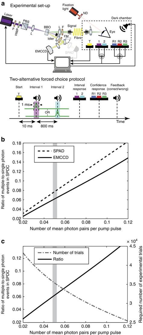 Direct Detection Of A Single Photon By Humans Nature Communications