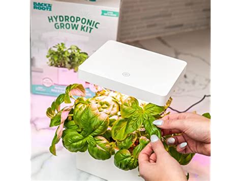 Back To The Roots Hydroponic Grow Kit