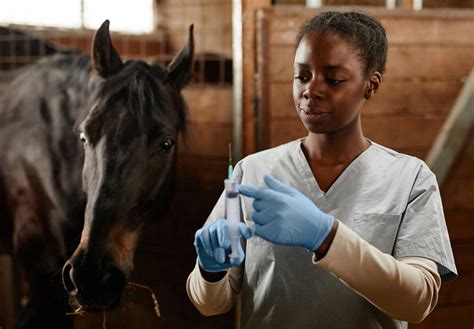 Equine Tetanus Vet Advantage