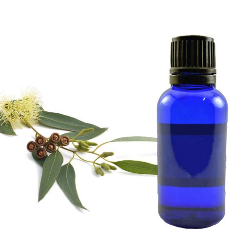 Essential Oil Eucalyptus Herb Stomp