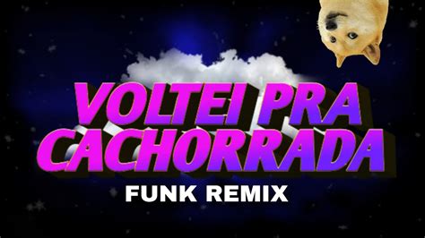 Zé Felipe MC Ryan SP Voltei pra Cachorrada FUNK REMIX By DJ RAFA