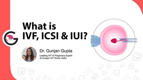 What Is Ivf Icsi And Iui Difference Between Iui Ivf And Icsi Dr