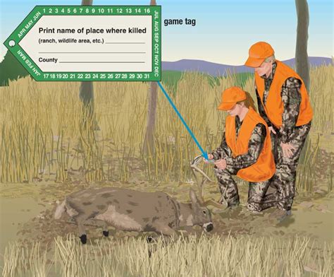 What States Allow Deer Hunting With Dogs