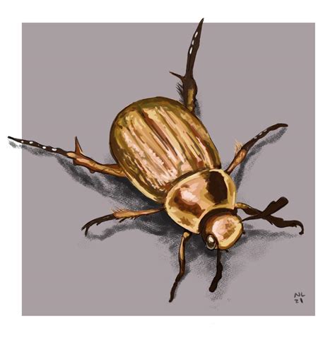 Brunch Beetle Me Digital 2021 R Art