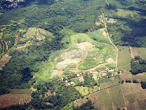 Selva baja caducifolia al borde de la desaparición