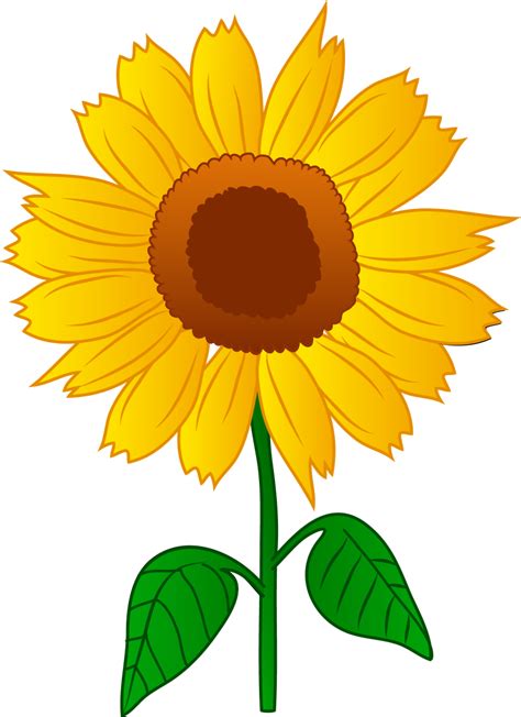 Easy Sunflowers To Draw Free Clip Art