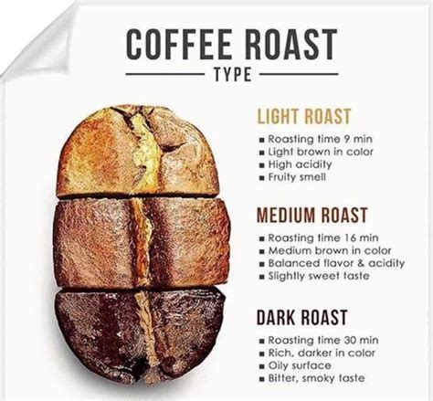 Coffee Roasting Types — Light Medium And Dark Roasting Comparison From