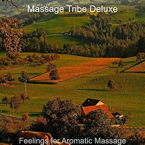 Feelings For Aromatic Massage Massage Tribe Deluxe