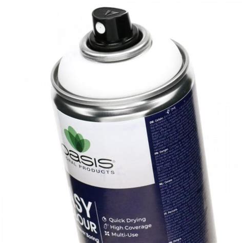 Floristik21 de OASIS Easy Colour Spray Lack Spray Weiß Winterdeko 400ml