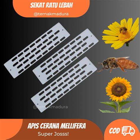 Sekat Ratu Lebah Apis Cerana Mellifera Queen Excluder Lazada Indonesia