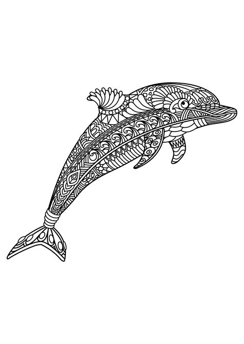 Dolphin With Patterns Dolphin Coloring Pages For Kids