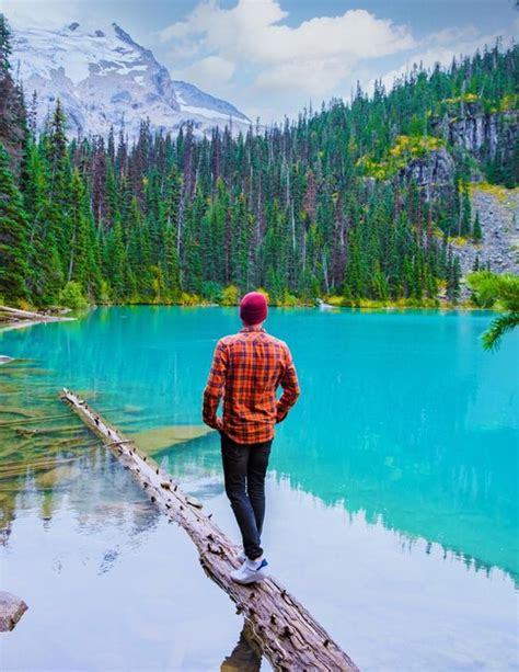 Premium Photo Rear View Of Man Standing On Pier Over Lake