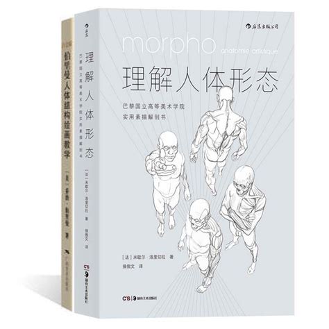 理解人體形態 伯里曼人體結構繪畫教學 美院實用素描解剖書 人全新正版圖書【博雅書城】 蝦皮購物