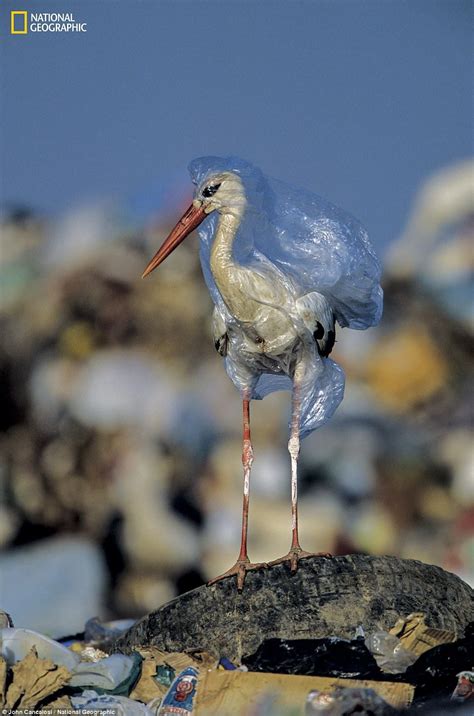 National Geographic S Shocking Images Reveal Scale Of Plastic Crisis