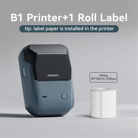 Niimbot B Label Printer Portable Bluetooth Smart Label Inkless Label