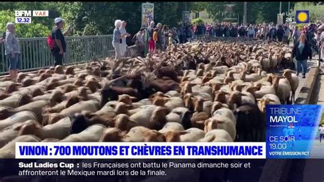 Vinon sur Verdon 700 moutons et chèvres en transhumance dans le Var