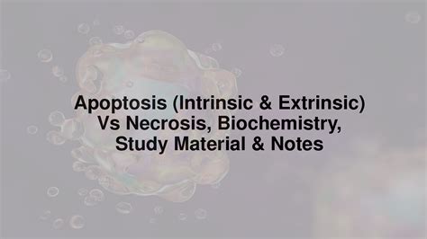 SOLUTION Apoptosis Intrinsic Extrinsic Vs Necrosis Biochemistry Study