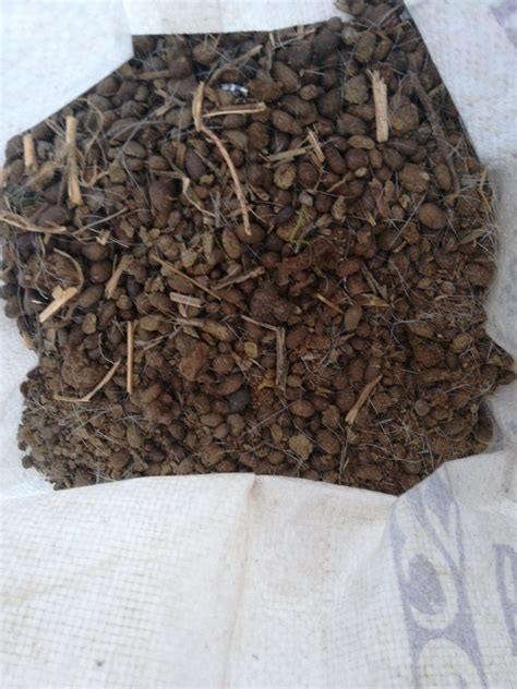 25 Kg Bag Granules Goat Manure Fertilizer At Rs 30 Kilogram In Pune